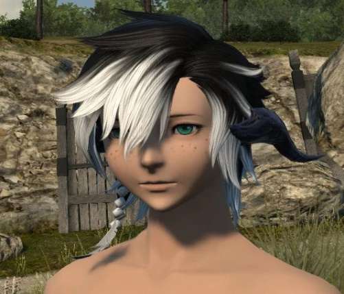 Announcing the Winners of the Hairstyle Design Contest 2023! | FINAL  FANTASY XIV, The Lodestone