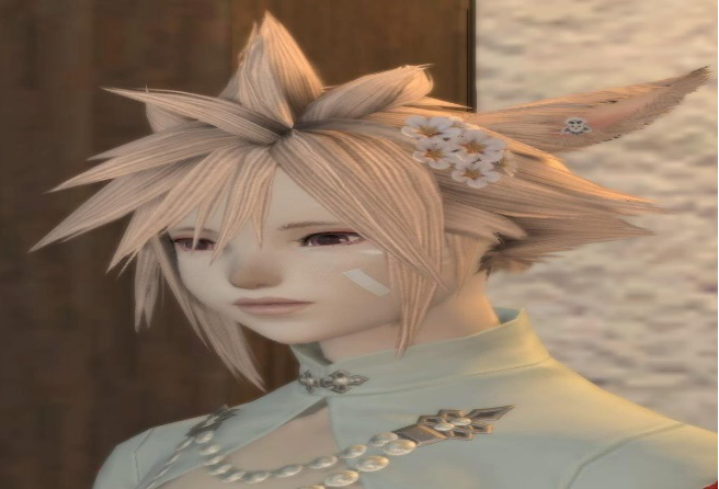 New Hrothgar and Viera hairstyles coming in 6.3. : r/ffxiv